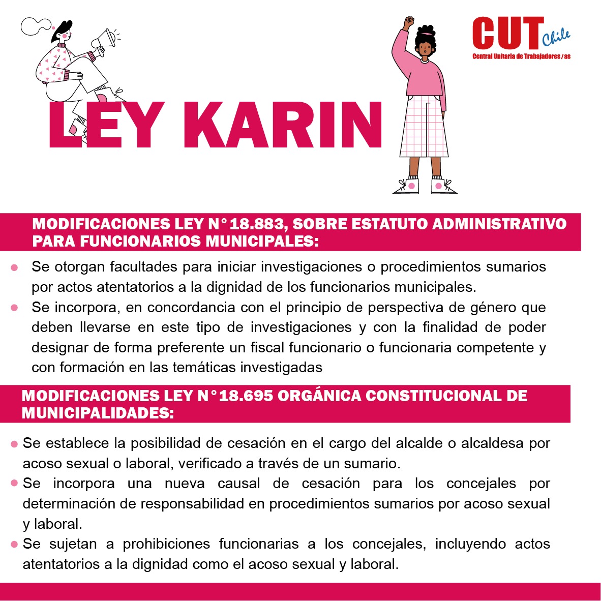 Ley Karin: Se Promulga La Obligación A Los Empleadores Privados Y ...